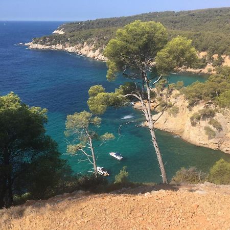 Sanary Sur Mer Appartement 30M2 T2 Avec Terrasse Piscine 10Min A Pied De La Plage Eksteriør billede