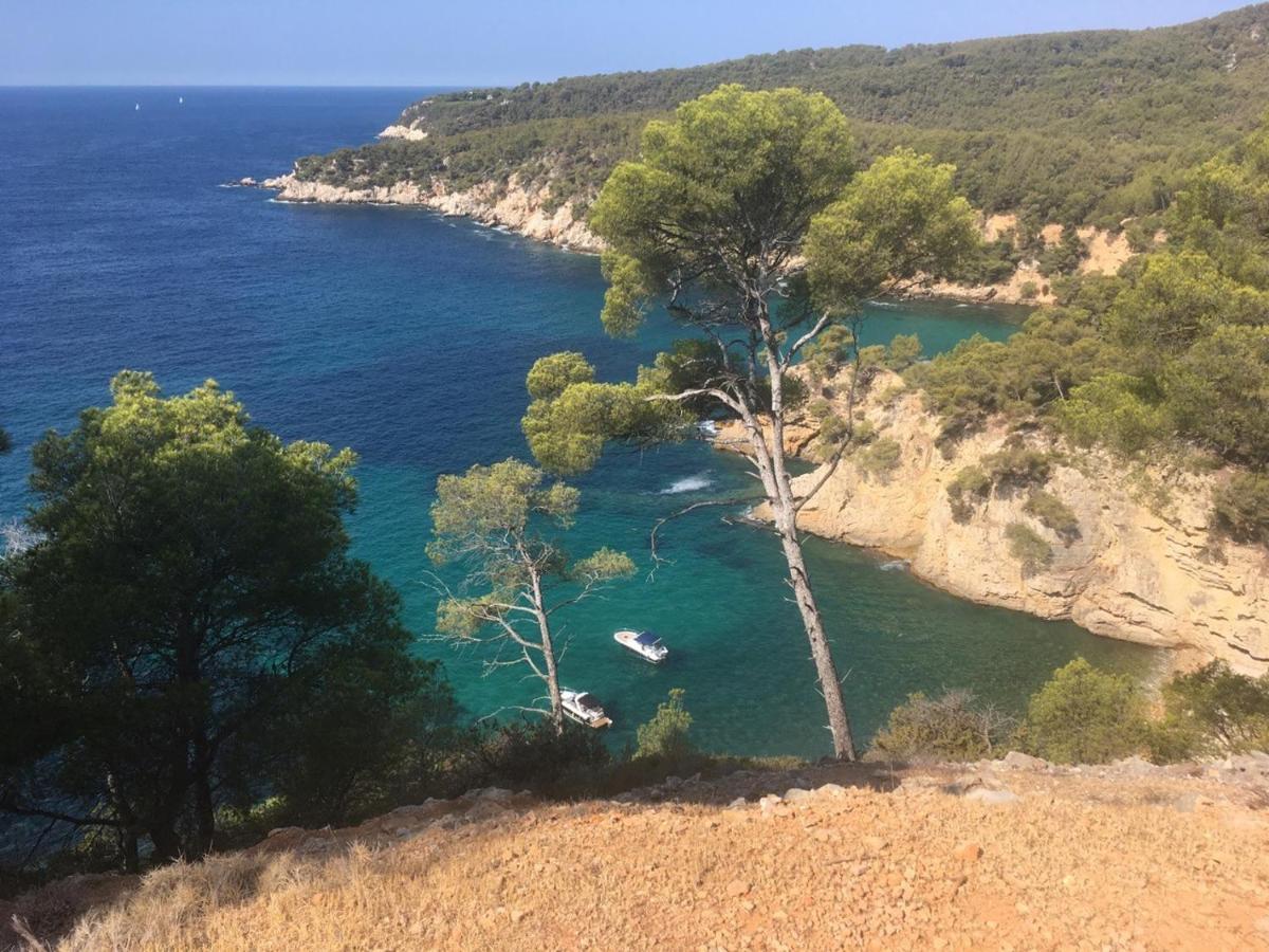 Sanary Sur Mer Appartement 30M2 T2 Avec Terrasse Piscine 10Min A Pied De La Plage Eksteriør billede